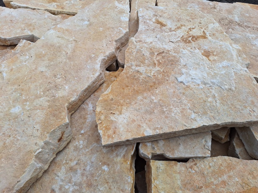 Balkan Yellow Mediterrane 4-5 cm dik