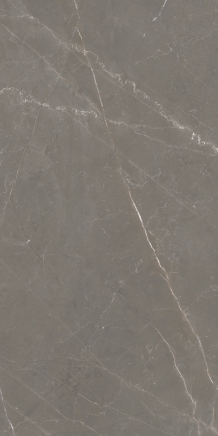 Bronze Armani Matte 120x60 cm