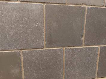 Castle Stone Blue Honed 20x20x1,5 cm
