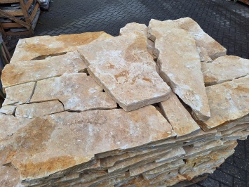 Balkan Yellow Mediterrane 4-5 cm dik