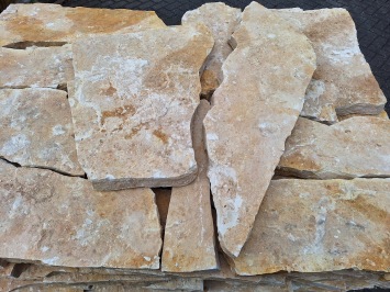 Balkan Yellow Mediterrane 4-5 cm dik