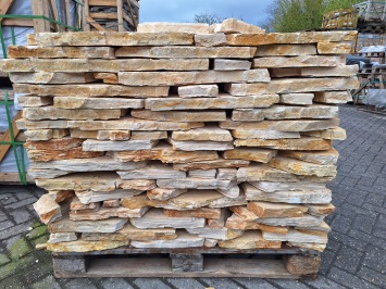 Balkan Yellow Mediterrane 4-5 cm dik