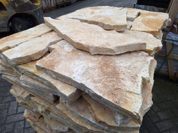 Balkan Yellow Mediterrane 4-5 cm dik