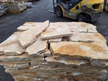 Balkan Yellow Mediterrane 4-5 cm dik