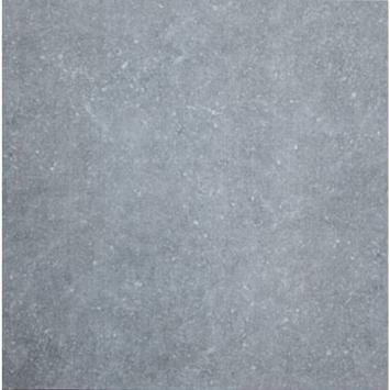 Ceramica Belgium Light Grey Natural 60x60x2 cm