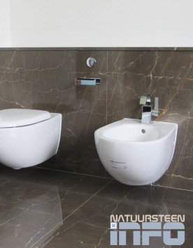 Bronze Armani Polish 120x60 cm