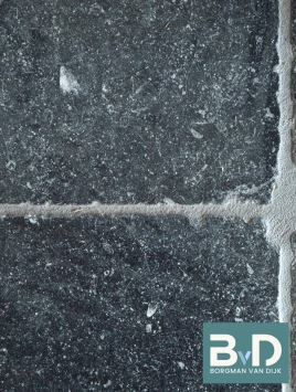 Belgisch Hardsteen Antique 20x20x2 cm