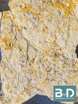 Mediterraanse Flagstones Bourgogne Geel