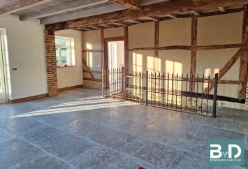 Bourgondische Dallen Vieux Medoc banenverband 61 cm breed / vrije lengtes