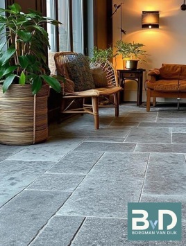 Castle Stone Blue Groot Wildverband Bourgondische Dallen