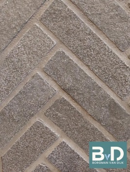 Castle Stone Grey Natural Waalklinkertjes 20x5x2 cm