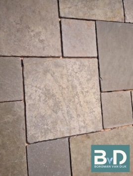 Castle Stone Yellow Green Natural Groot Wildverband