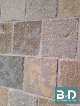 Chateau Beige Antique 20x20xca.2 cm