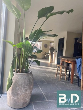 Chateau Gris Brun Antique Groot Wildverband Zitkamer