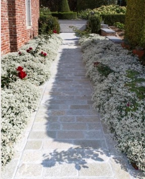 Castle Stone Yellow kassei 20x14x5-7 cm