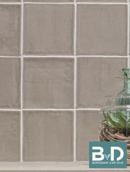 Oud Hollandse Witjes GRIJS 13x13 cm