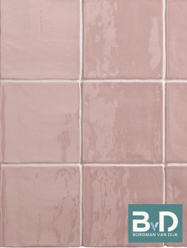 Oud Hollandse Witjes ROZE 13x13 cm