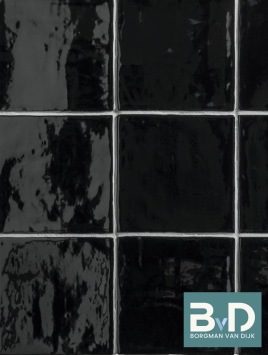 Oud Hollandse Witjes ZWART 13x13 cm