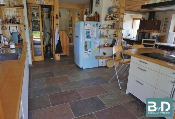 Peacock leisteen Multicolor Slate 60x60x1,5 cm